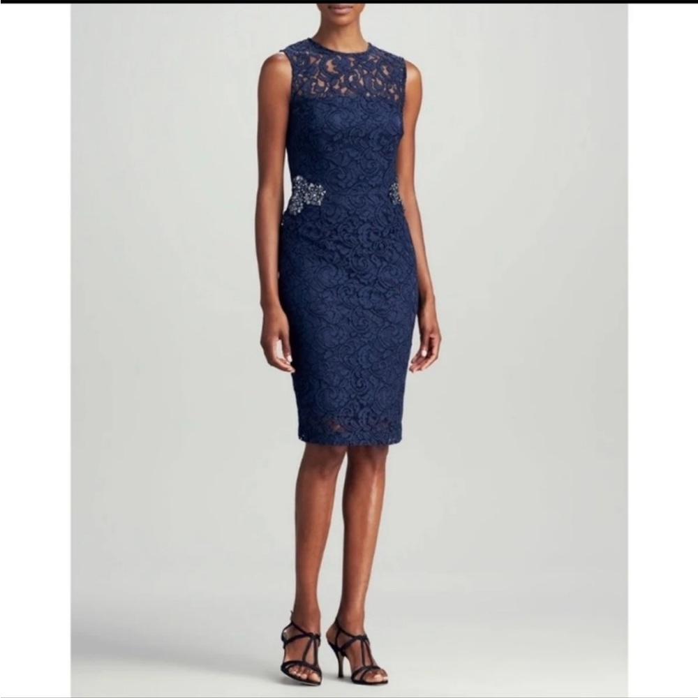 David Meister Gorgeous Dress Size 2